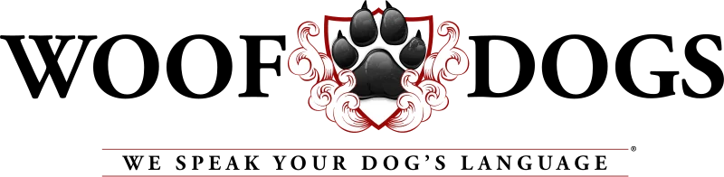 Woof Dogs — Professional Dog Training in South Florida